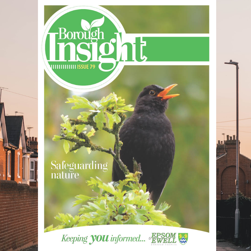 Epsom & Ewell Borough Council – Borough Insight magazine